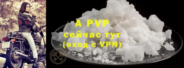 молекула духа Белоозёрский