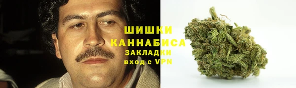 молекула духа Белоозёрский