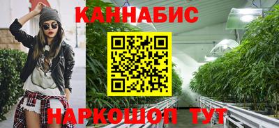 стафф Будённовск