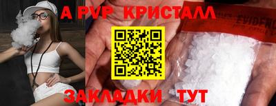 стафф Будённовск